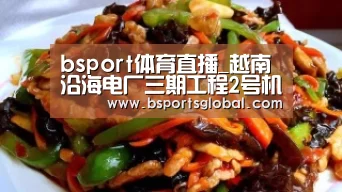 bsport体育直播_越南沿海电厂三期工程2号机组PAC证书正式颁发(图2) b体育在线观看