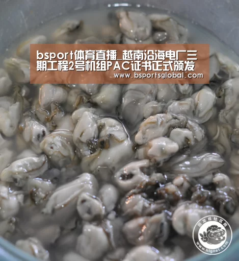 bsport体育直播_越南沿海电厂三期工程2号机组PAC证书正式颁发(图3) bsport体育