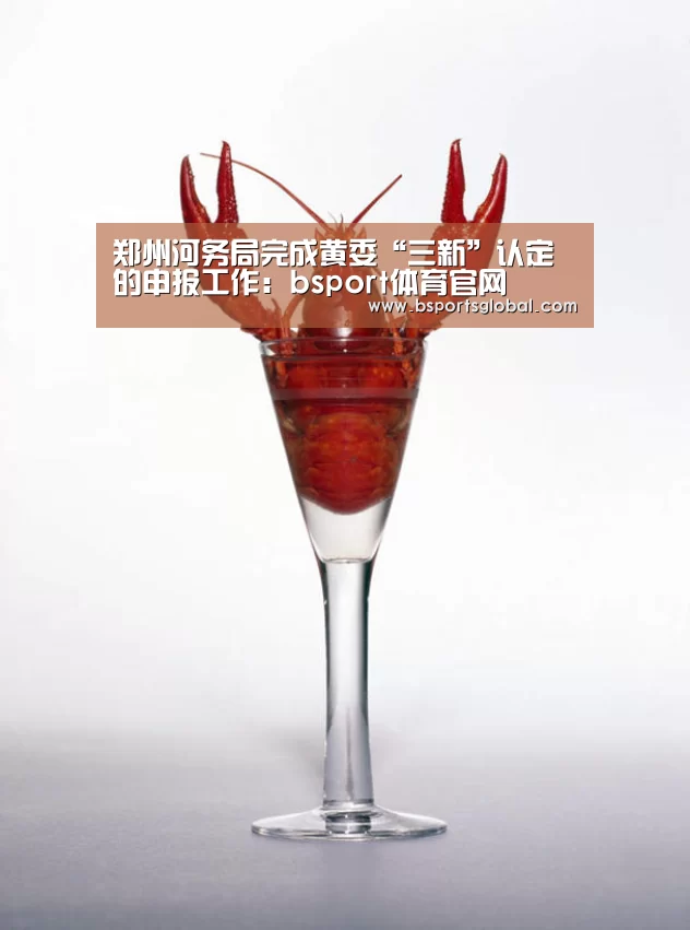 郑州河务局完成黄委“三新”认定的申报工作:bsport体育官网(图1) b体育在线观看