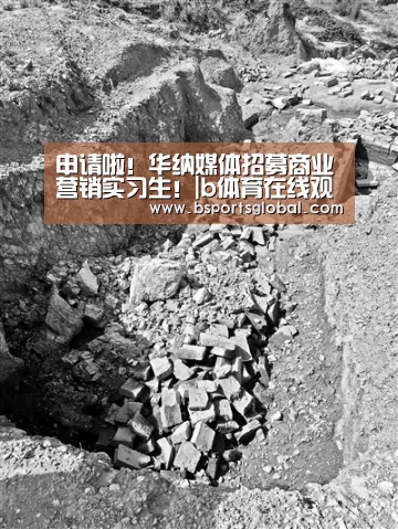 申请啦!华纳媒体招募商业营销实习生!|b体育在线观看(图2) b体育在线观看