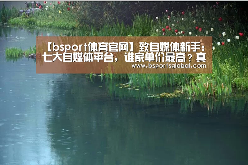 【bsport体育官网】致自媒体新手:七大自媒体平台,谁家单价最高?真实数据告诉你(图4) b体育在线观看