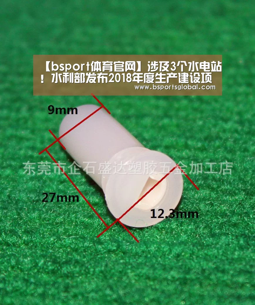 bsport体育直播
