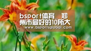 bsport体育_
郑州市最好的10所大学一览(图3) bsport体育