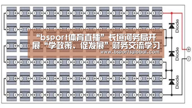 “bsport体育直播”长垣河务局开展“学政策、促发展”财务交流学习(图1) bsport体育官网