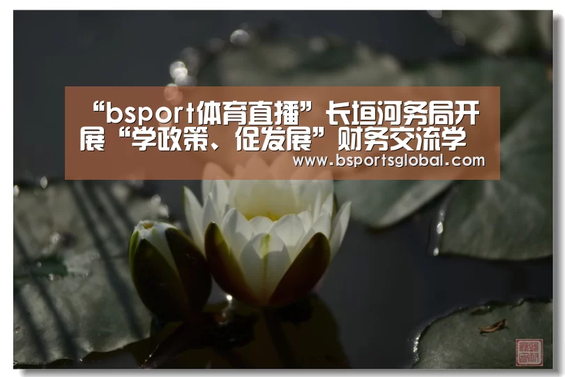 “bsport体育直播”长垣河务局开展“学政策、促发展”财务交流学习(图4) b体育在线观看